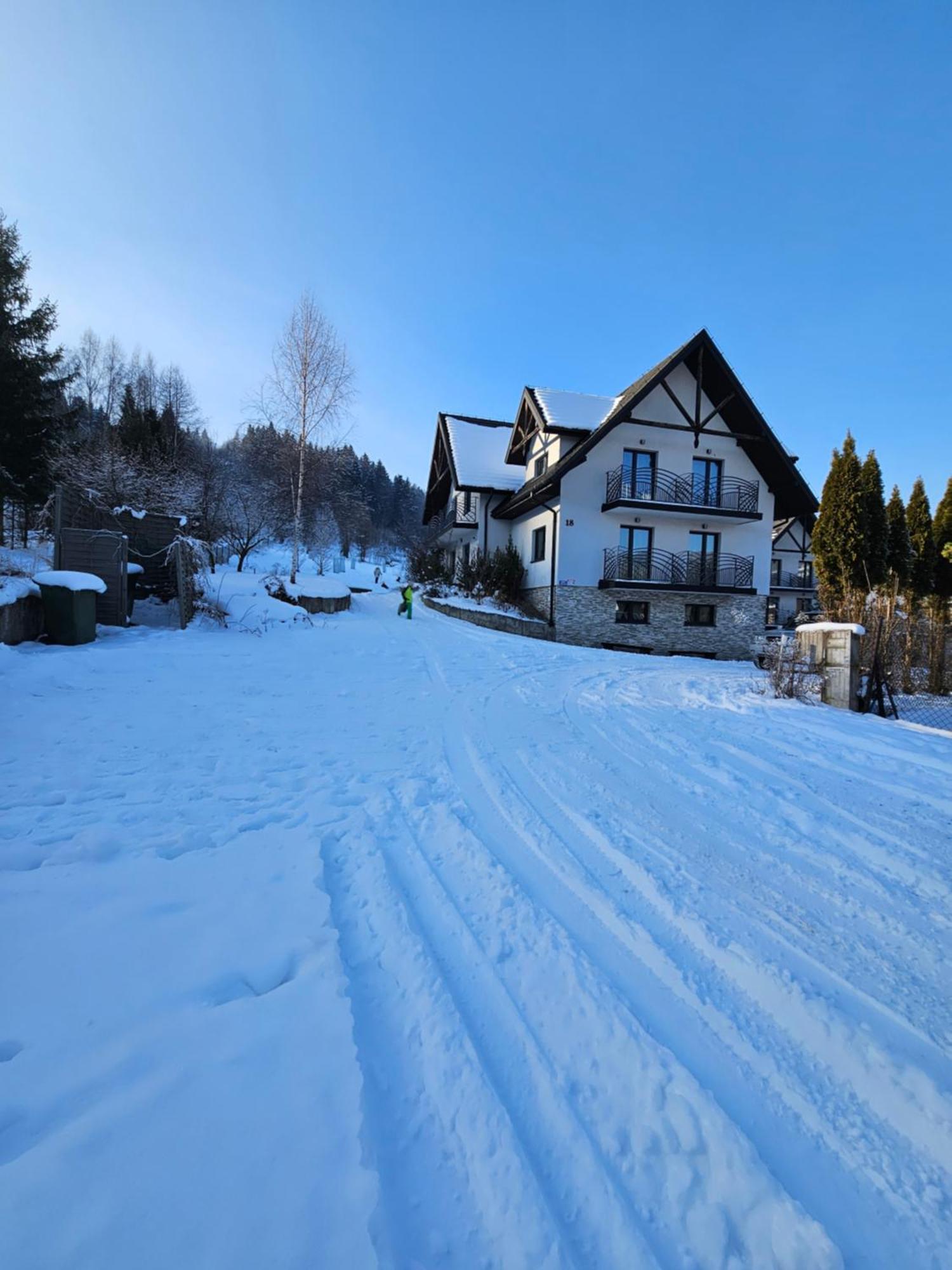 Otulina Park Bed and Breakfast Szczawnica Buitenkant foto
