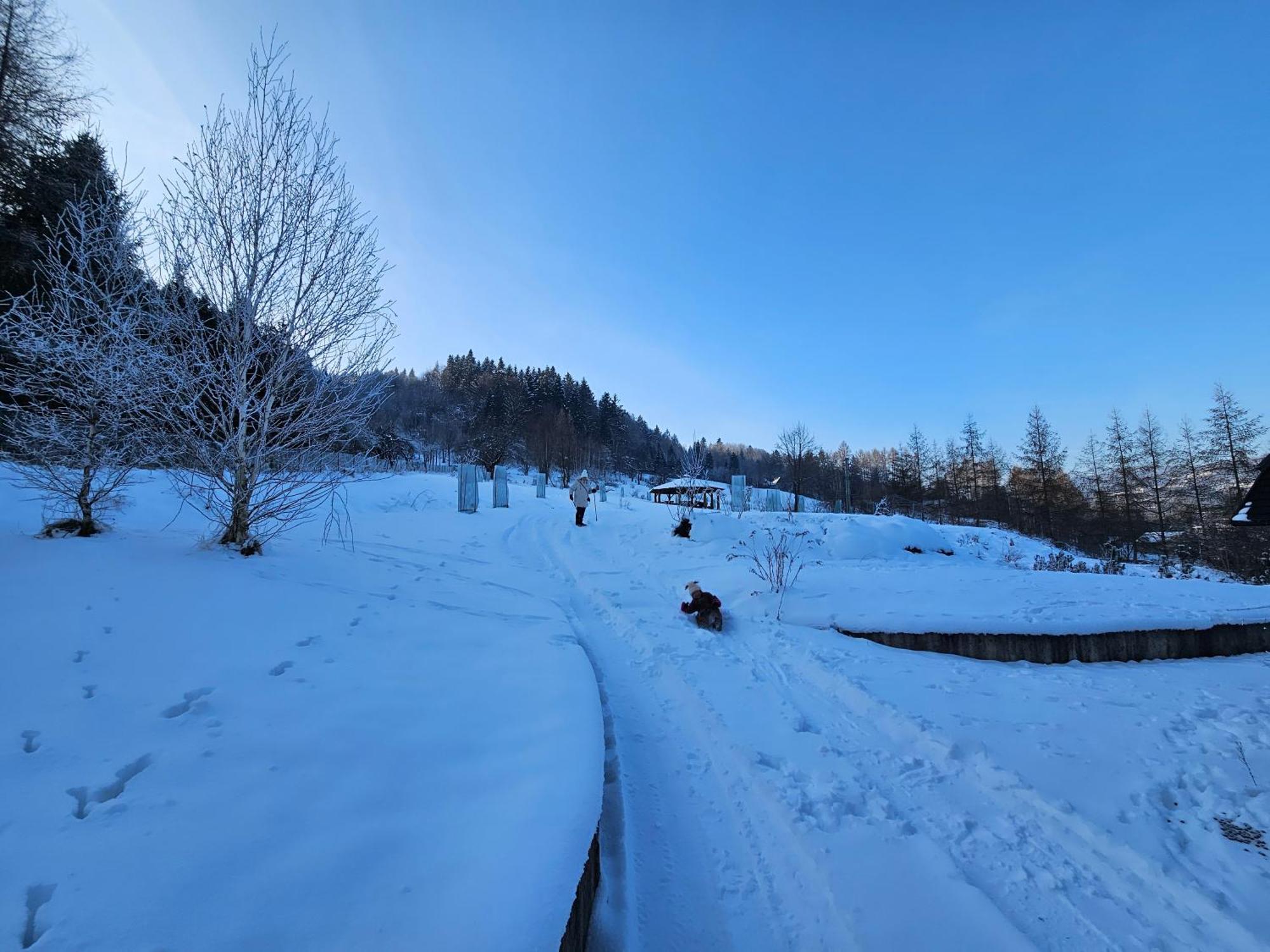 Otulina Park Bed and Breakfast Szczawnica Buitenkant foto