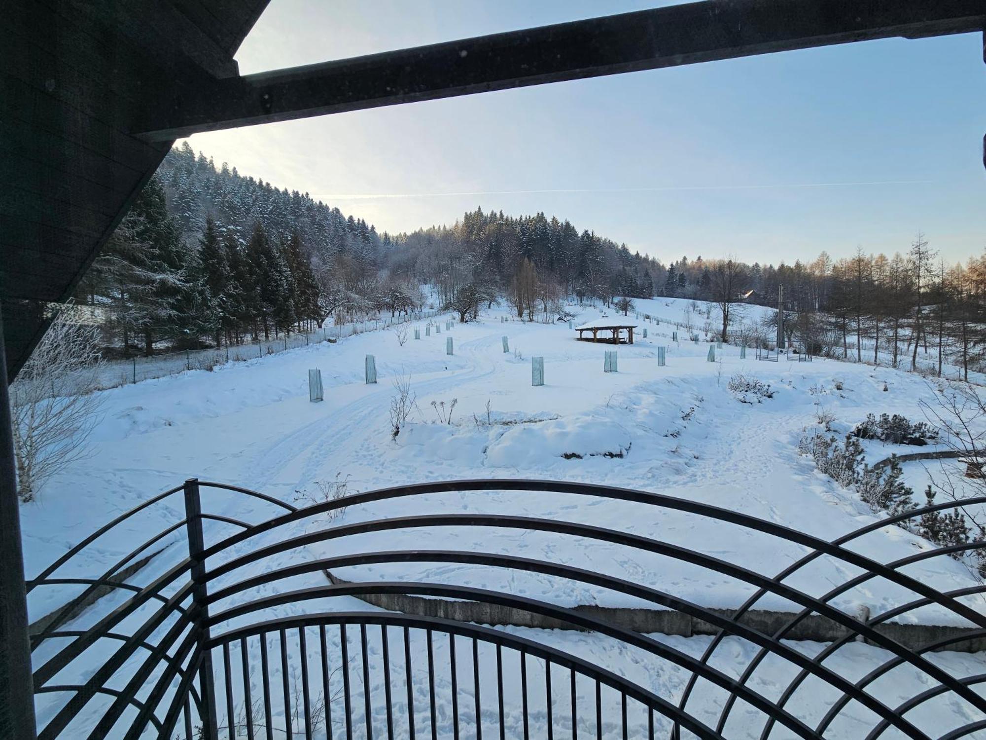 Otulina Park Bed and Breakfast Szczawnica Buitenkant foto