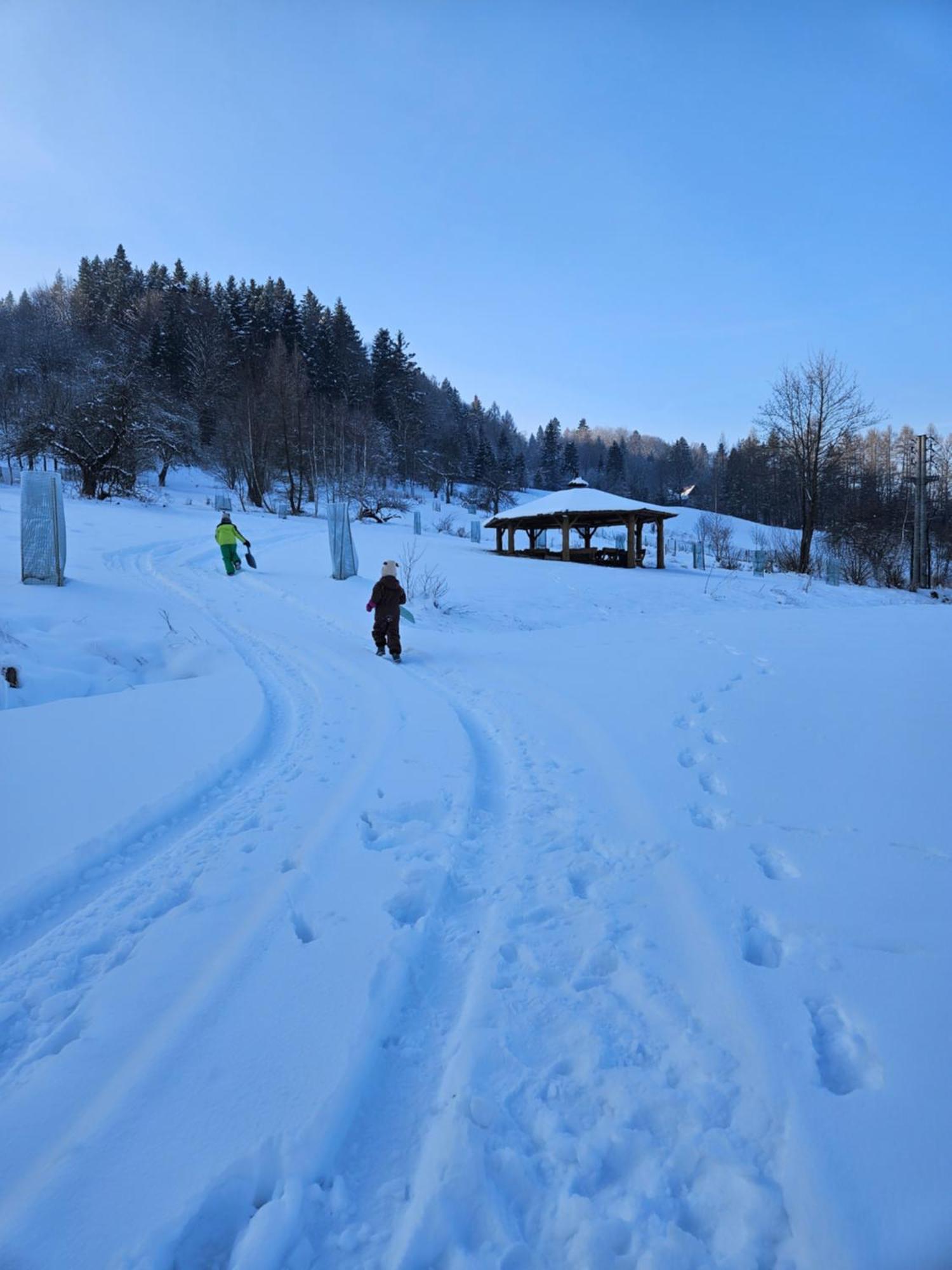 Otulina Park Bed and Breakfast Szczawnica Buitenkant foto