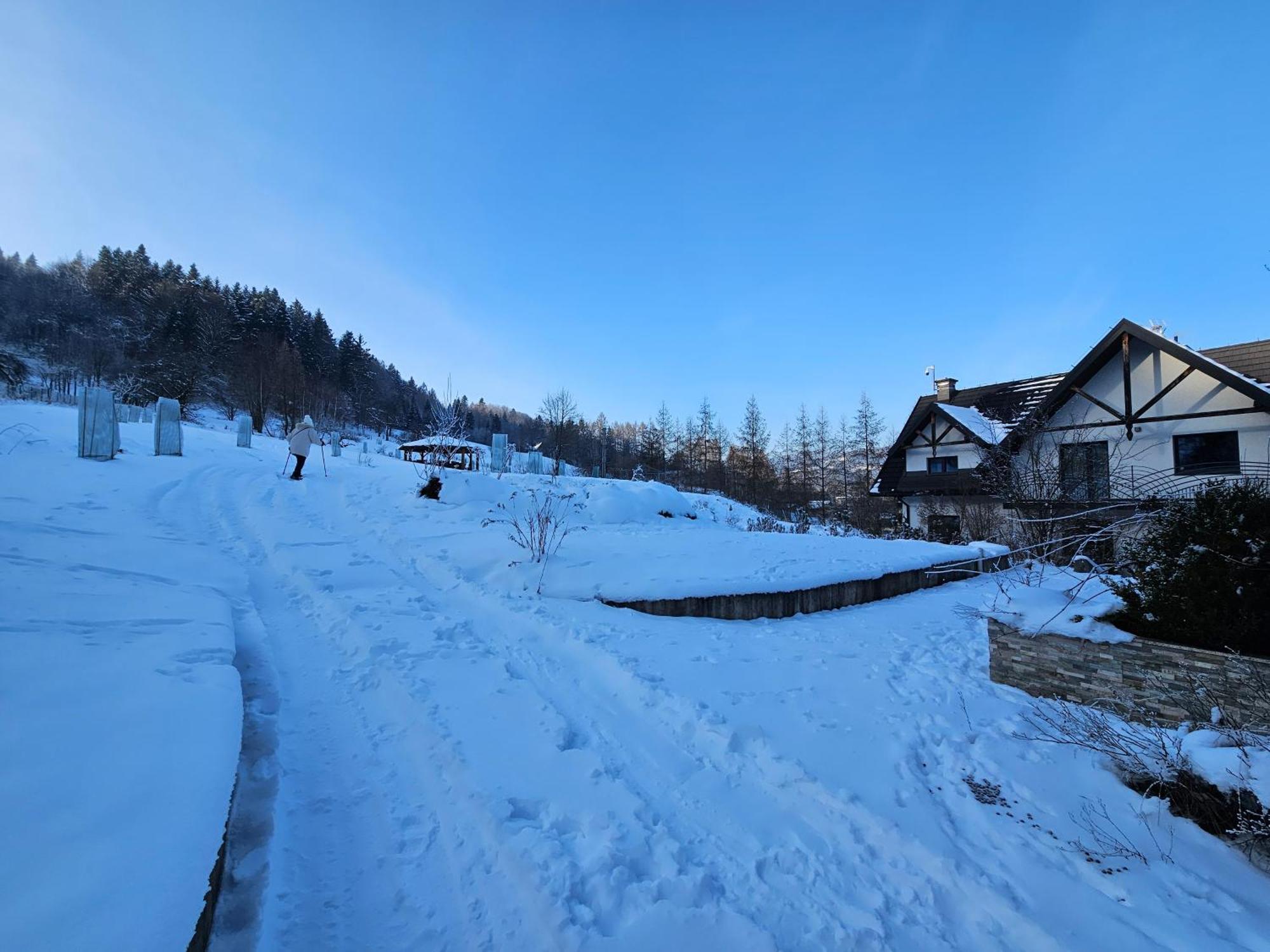 Otulina Park Bed and Breakfast Szczawnica Buitenkant foto