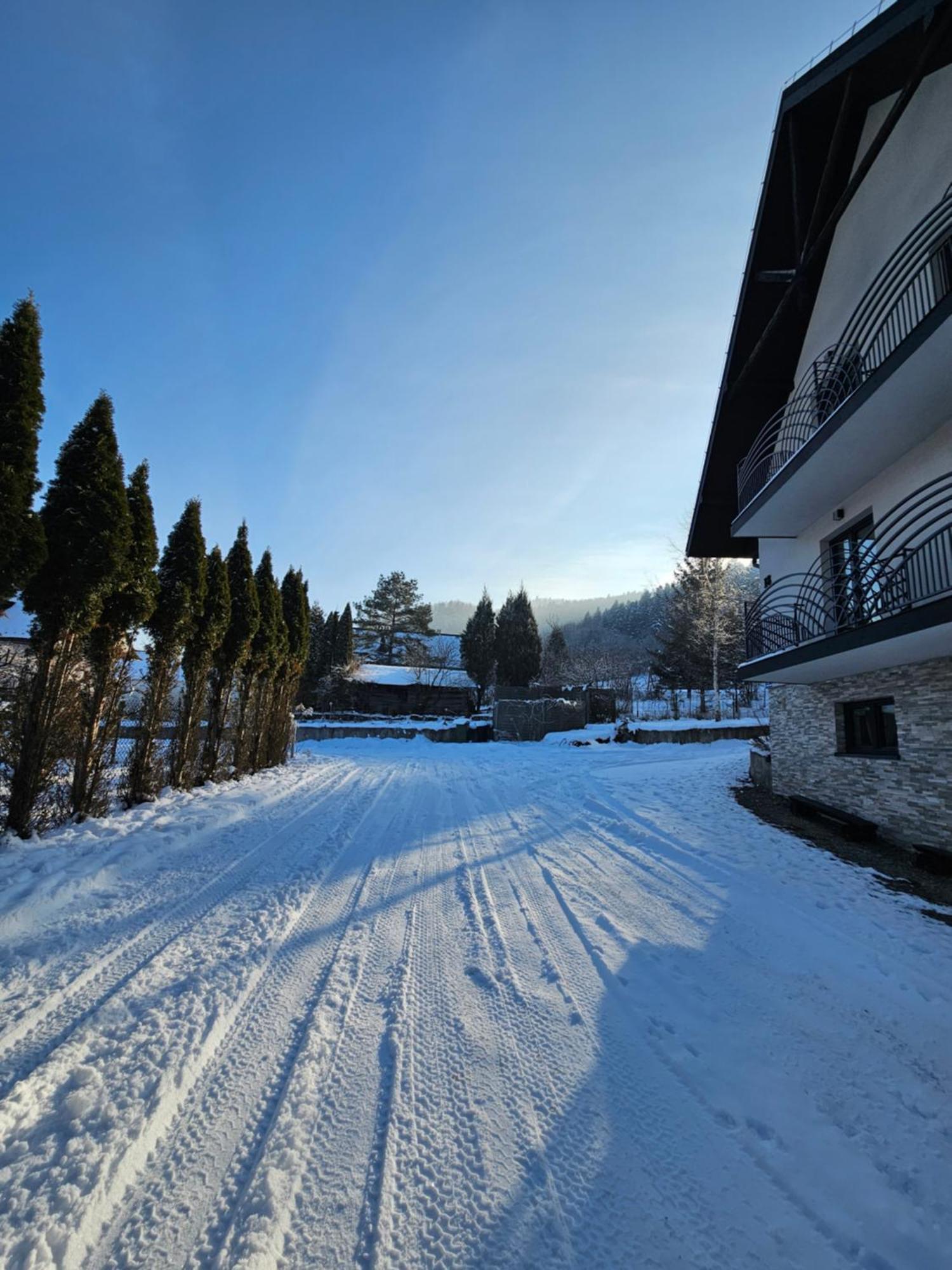 Otulina Park Bed and Breakfast Szczawnica Buitenkant foto