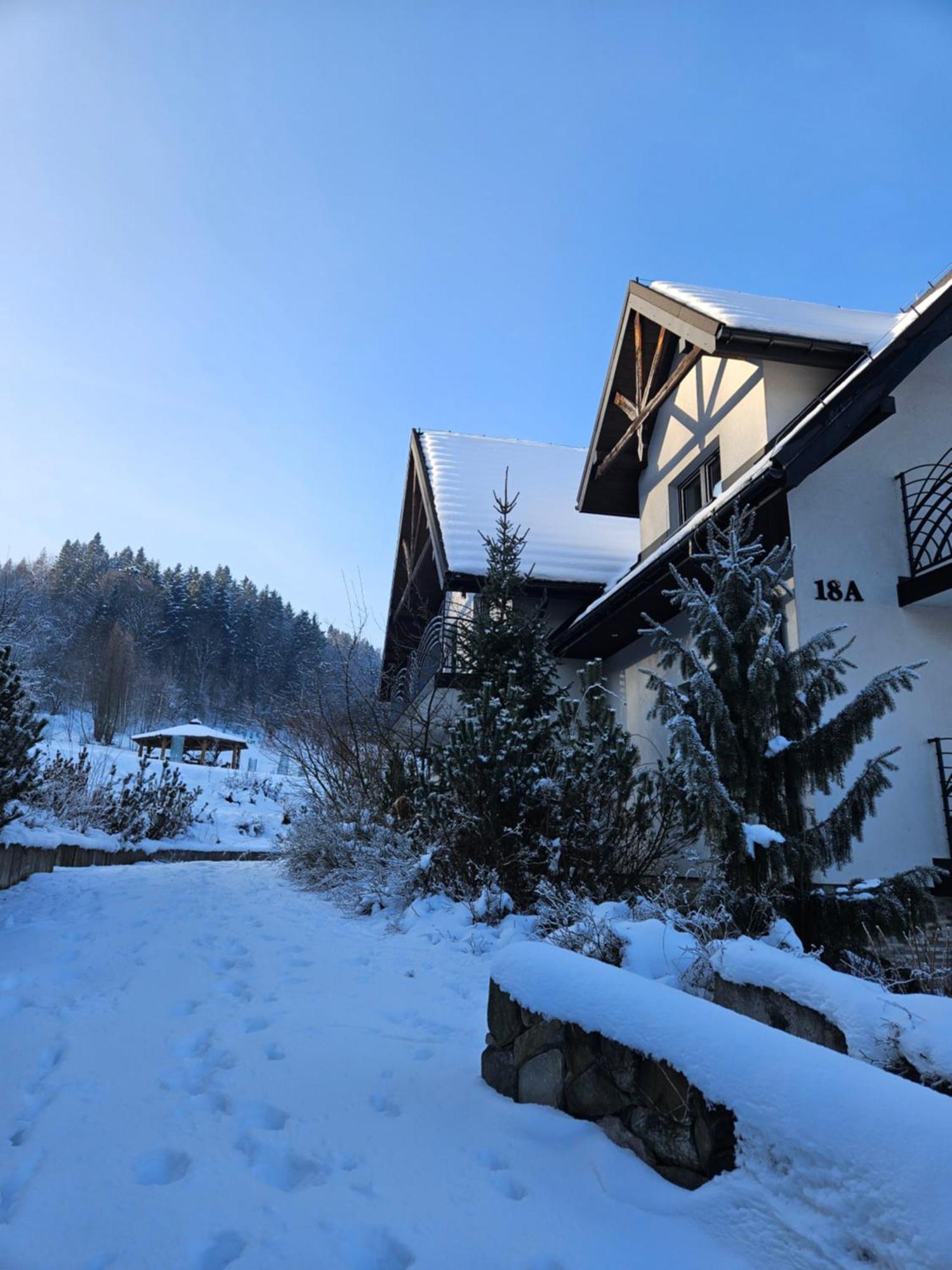 Otulina Park Bed and Breakfast Szczawnica Buitenkant foto