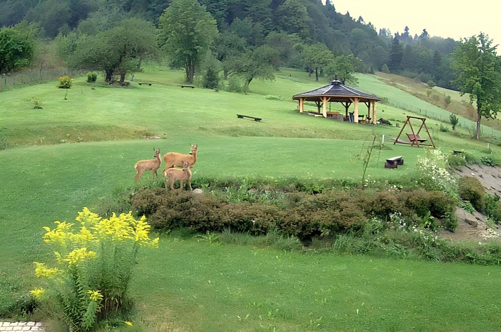 Otulina Park Bed and Breakfast Szczawnica Buitenkant foto