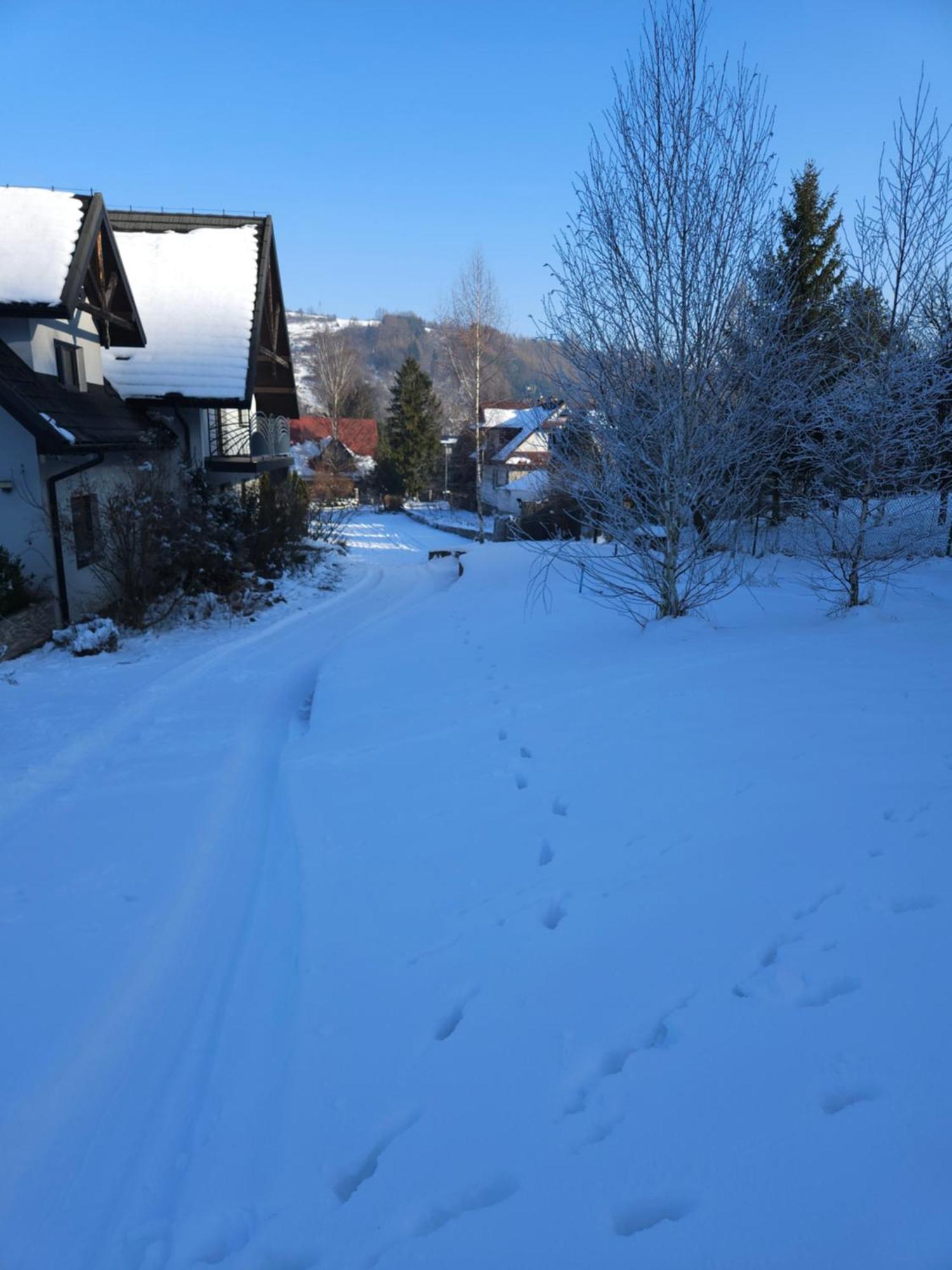 Otulina Park Bed and Breakfast Szczawnica Buitenkant foto