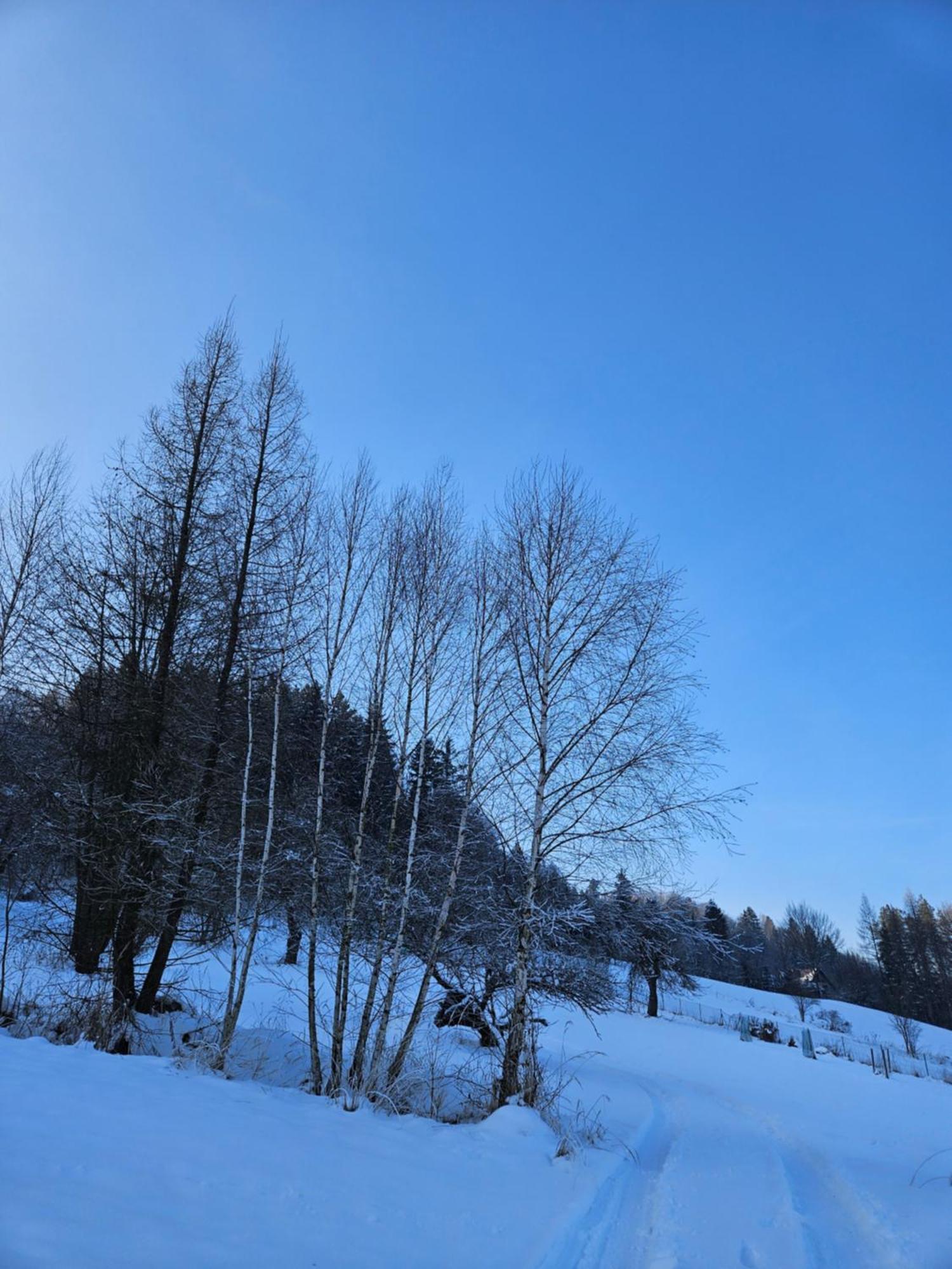 Otulina Park Bed and Breakfast Szczawnica Buitenkant foto