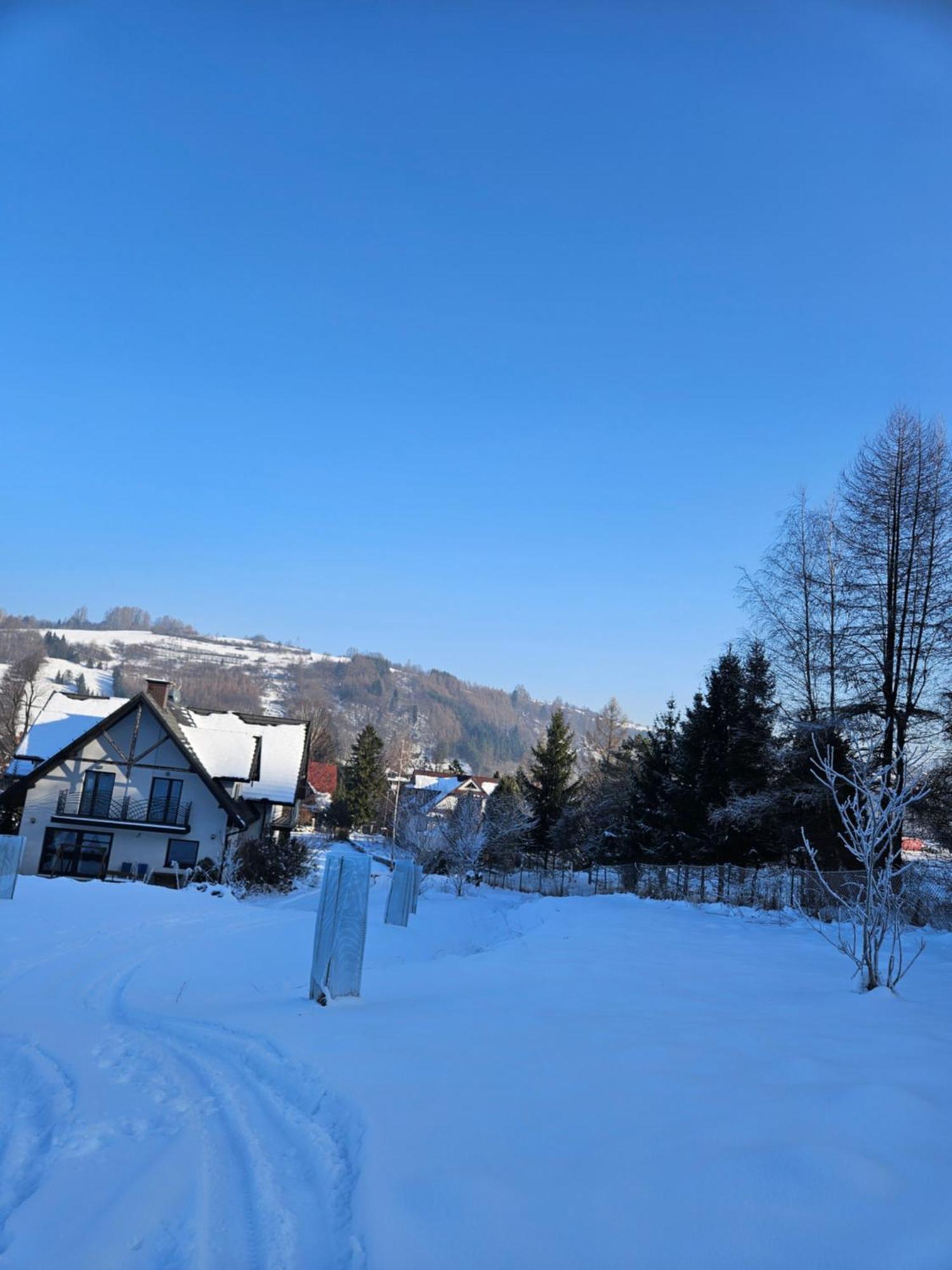 Otulina Park Bed and Breakfast Szczawnica Buitenkant foto