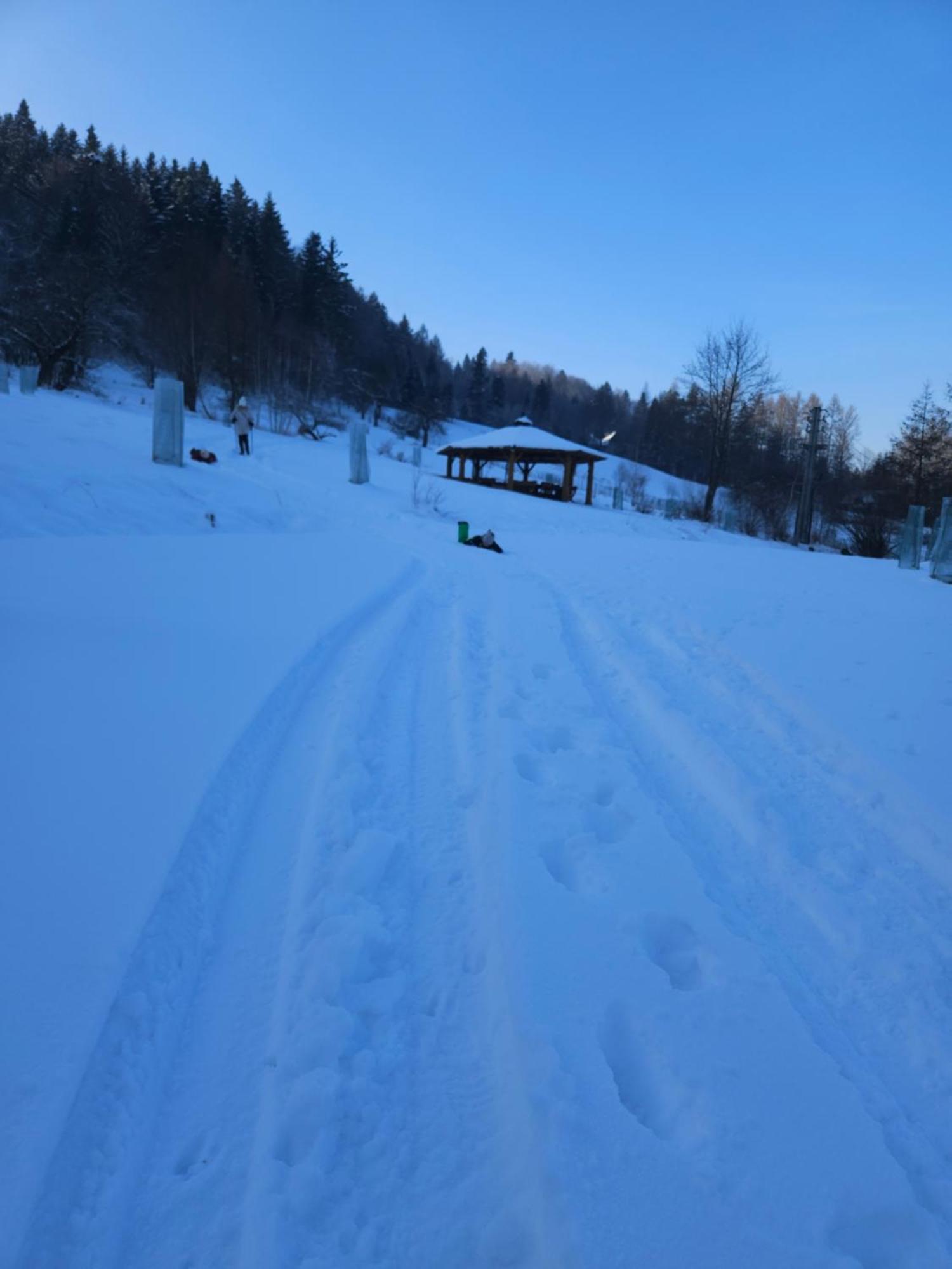 Otulina Park Bed and Breakfast Szczawnica Buitenkant foto